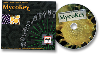 MycoKey 2