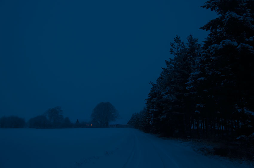 WinterNight13.jpg