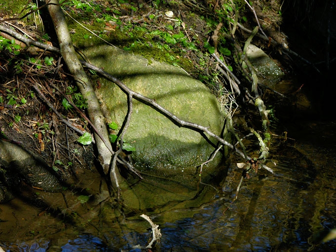 Creek&Branches01.jpg