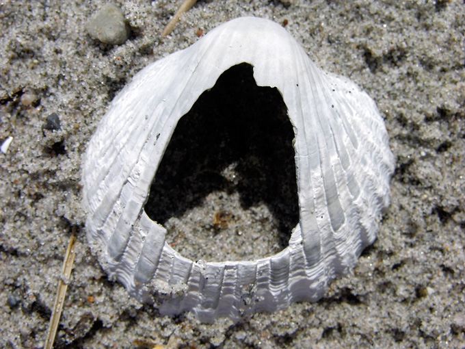 BeachMeditation03.jpg