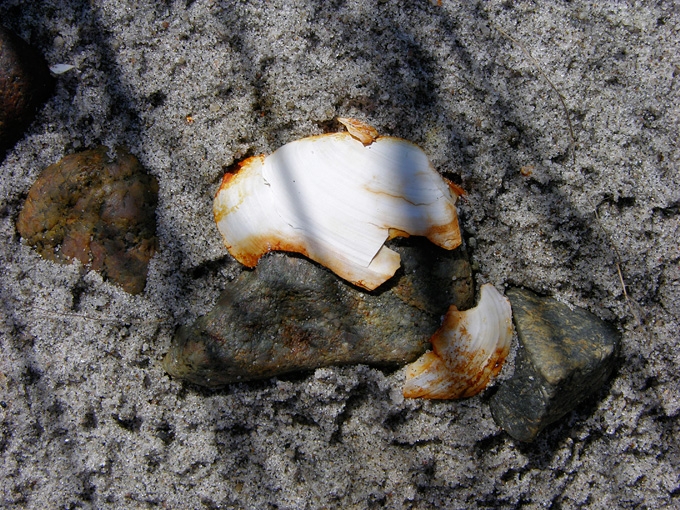 BeachMeditation13.jpg