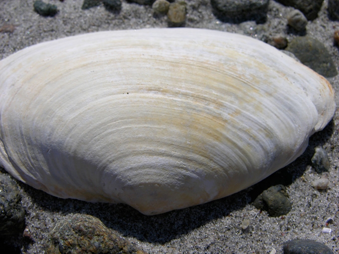 BeachMeditation14.jpg