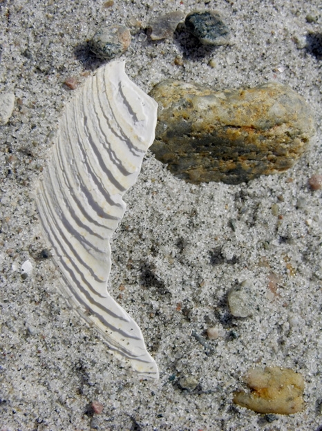 BeachMeditation15.jpg